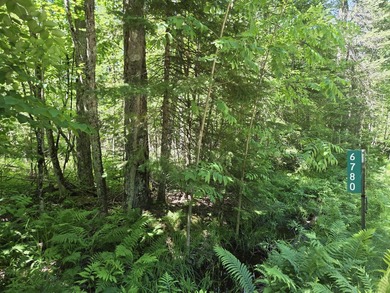 Nine gorgeous acres on the Thunder Bay River!! 200' of frontage! - photo 29