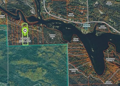 Nine gorgeous acres on the Thunder Bay River!! 200' of frontage! - photo 30