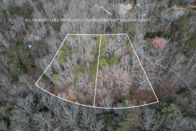 Lake Lot For Sale in Ellijay, Georgia