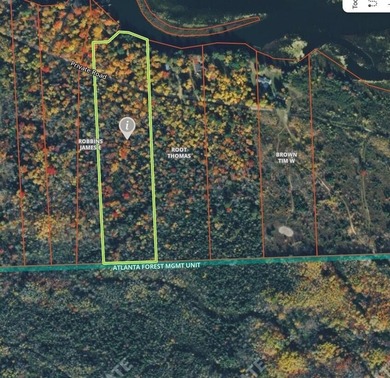 Nine gorgeous acres on the Thunder Bay River!! 200' of frontage! - photo 31