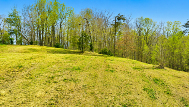 A Prime Lot Near Nolin Lake - photo 3
