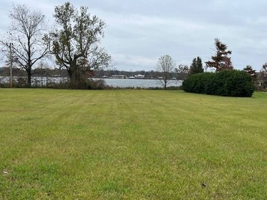 Discover the perfect canvas for your dream lake home on this - photo 2