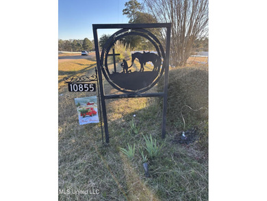 Southern Living! Enter the gated, curving driveway around a - photo 5