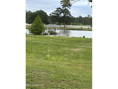 Southern Living! Enter the gated, curving driveway around a - photo 8