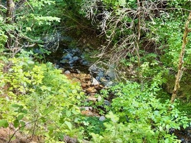 (private lake, pond, creek) Acreage For Sale in Weaverville California