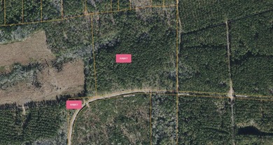 This is one listing you don't want to pass by. This 37.3 acre - photo 1