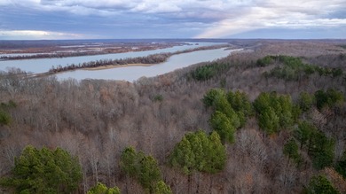 Tennessee River - Benton County Acreage For Sale in Holladay Tennessee
