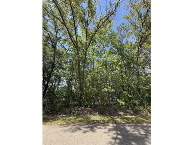 This is one listing you don't want to pass by. This 37.3 acre - photo 3
