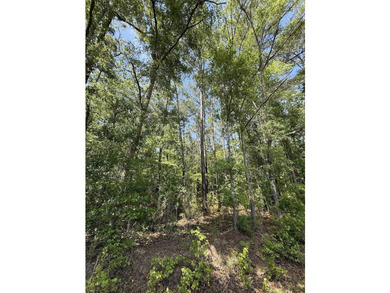This is one listing you don't want to pass by. This 37.3 acre - photo 4