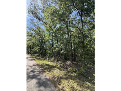 This is one listing you don't want to pass by. This 37.3 acre - photo 5