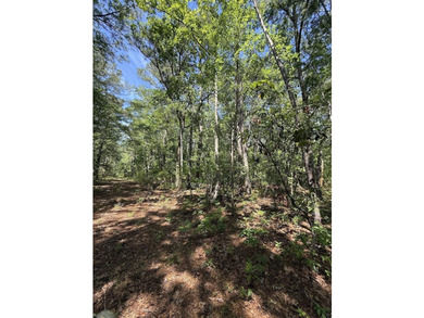 This is one listing you don't want to pass by. This 37.3 acre - photo 7