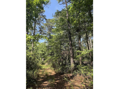 This is one listing you don't want to pass by. This 37.3 acre - photo 9