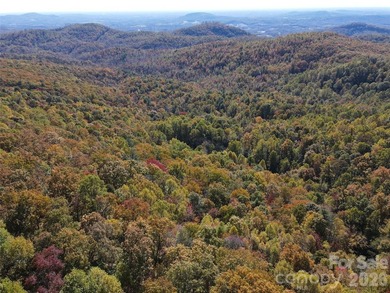 NEW PRICE!! HERE IS YOUR MOUNTAIN GETAWAY!! The mountain is - photo 47