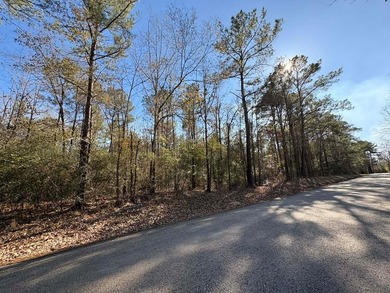 Approximately 80 beautiful acres of mature timber offering the - photo 2