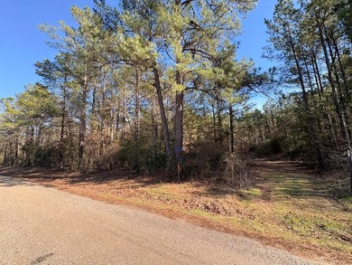 Approximately 80 beautiful acres of mature timber offering the - photo 3
