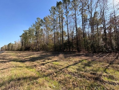 Approximately 80 beautiful acres of mature timber offering the - photo 5