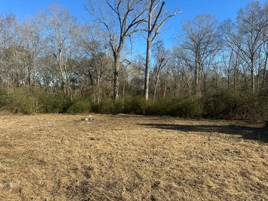 Approximately 80 beautiful acres of mature timber offering the - photo 8