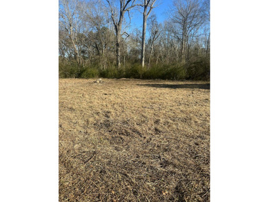 Approximately 80 beautiful acres of mature timber offering the - photo 9