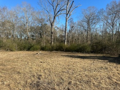 Approximately 80 beautiful acres of mature timber offering the - photo 10