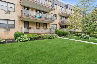 Rarely available, The Carlyle at Great Neck Plaza. A Premier - photo 4