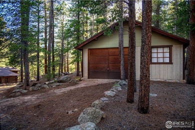 Rocky Mountain High! The exact vision mountain lovers have in - photo 16