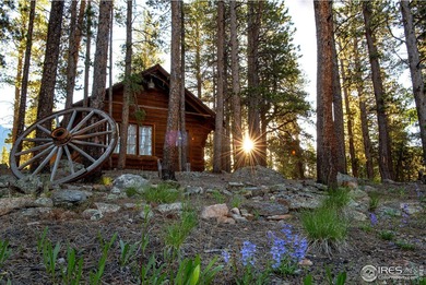 Rocky Mountain High! The exact vision mountain lovers have in - photo 19