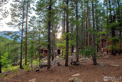 Rocky Mountain High! The exact vision mountain lovers have in - photo 20