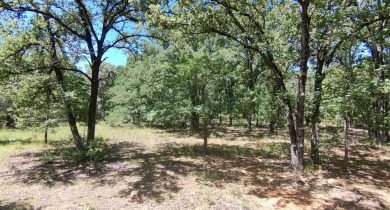 (private lake, pond, creek) Acreage For Sale in Alba Texas