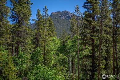 Rocky Mountain High! The exact vision mountain lovers have in - photo 22