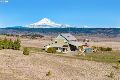 (private lake, pond, coastal) Home For Sale in Lyle Washington