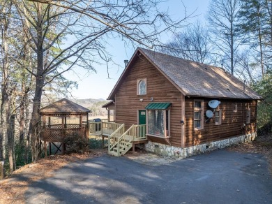 Lake Home For Sale in Blue Ridge, Georgia