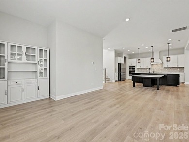 Lake Norman Dockable lakefront! Experience unparalleled luxury - photo 11