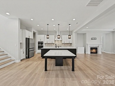 Lake Norman Dockable lakefront! Experience unparalleled luxury - photo 12