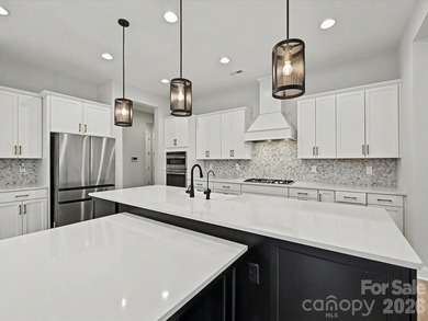 Lake Norman Dockable lakefront! Experience unparalleled luxury - photo 13