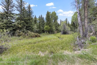 Rare opportunity to own 5.58 acres on the coveted Westbank along - photo 13