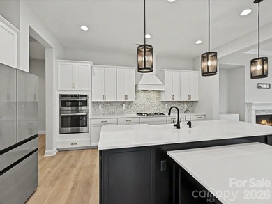Lake Norman Dockable lakefront! Experience unparalleled luxury - photo 14