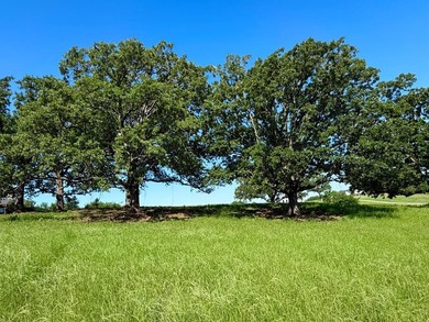 Perched on an elevated homesite in the highly sought-after - photo 7