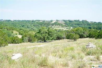 Lake Acreage For Sale in Spring Branch, Texas