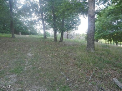 Great location, great view, a lot of options. Nice lake - Lake Lot For Sale in Kingston, Tennessee
