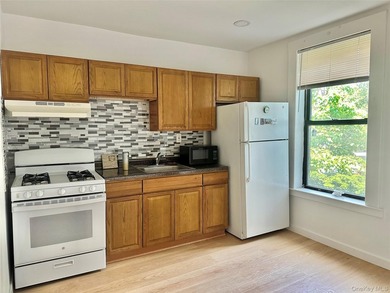 This fully renovated, spacious 2-bedroom apartment features - photo 7