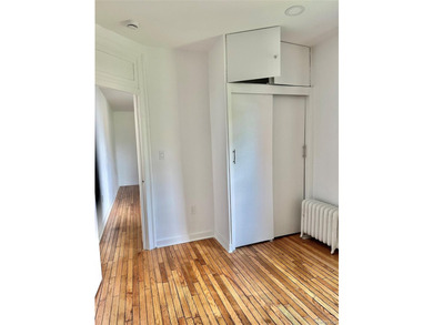 This fully renovated, spacious 2-bedroom apartment features - photo 10
