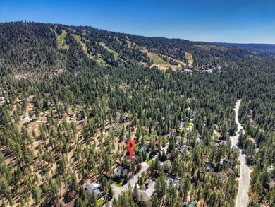 WELCOME TO *HEAVENLY VALLEY LODGE*, A BEAUTIFUL LOG-STYLE HOME - photo 45