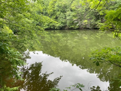 Lake Lot For Sale in Hardy, Virginia