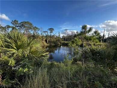 Cape Coral Lakes Area Lot Sale Pending in Cape Coral Florida
