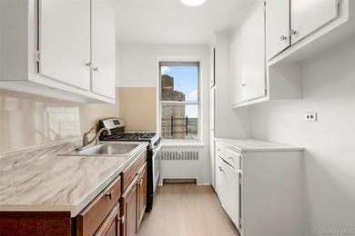 Welcome to Kingsbridge Terrace! This spacious one-bedroom