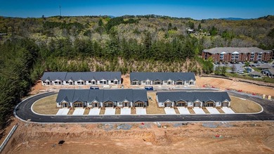 Toccoa River - Fannin County Townhome/Townhouse Active Under Contract in Blue Ridge Georgia