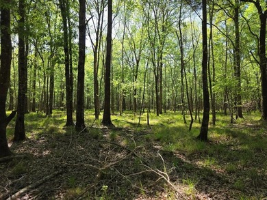 B A Steinhagen Lake Acreage For Sale in Jasper Texas