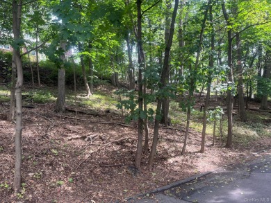 Lake Lot For Sale in Ardsley, New York