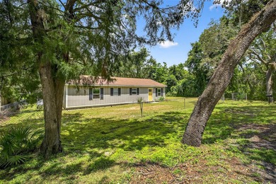 Withlacoochee River Home For Sale in Dade City Florida