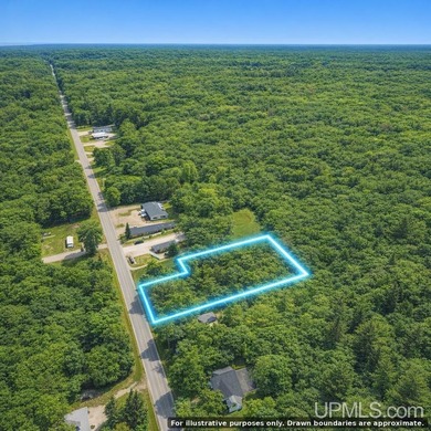 OWN YOUR PIECE OF PARADISE ON DRUMMOND ISLAND! If you've ever - photo 9